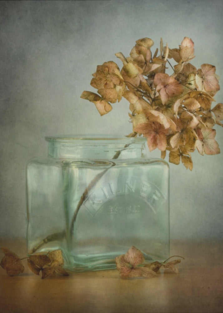 Hortensie | Leinwand