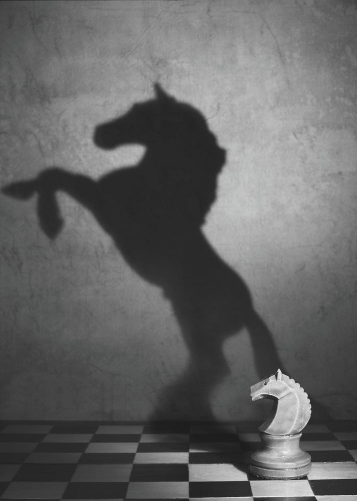 Die Seele eines Mustangs | Poster