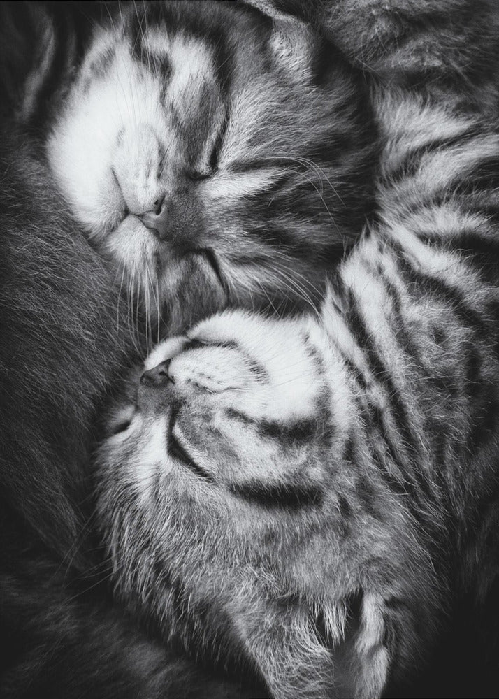 Yin und Yang | Leinwand