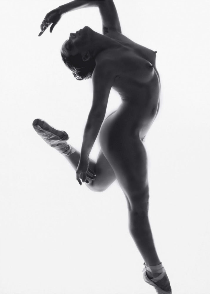 Fine Art Dance ... | Leinwand