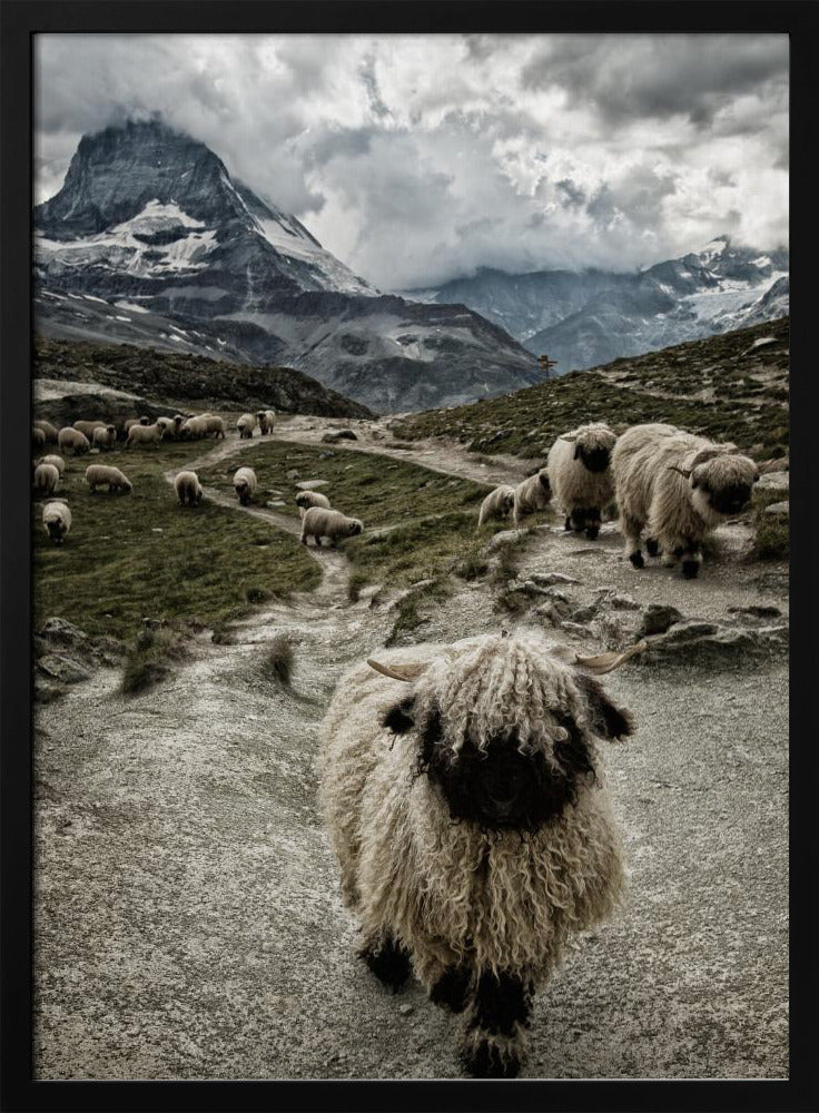 Aus dem Weg | Poster