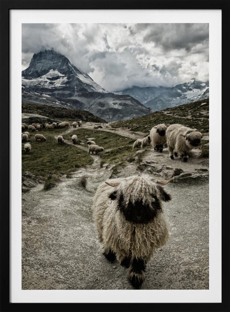 Aus dem Weg | Poster