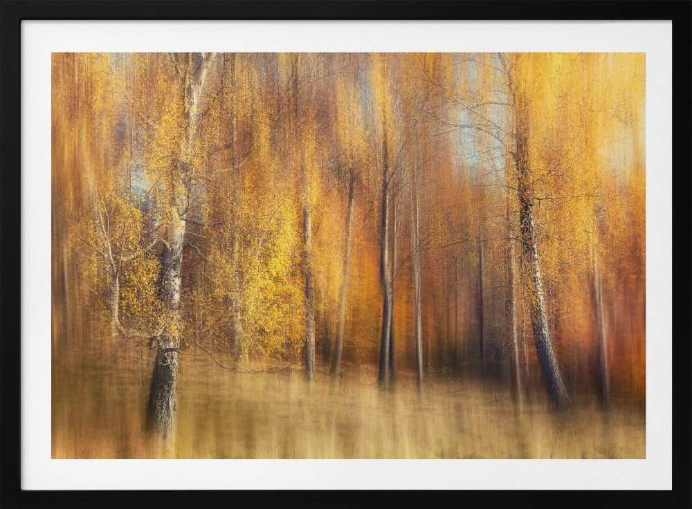 Herbstbirken | Poster