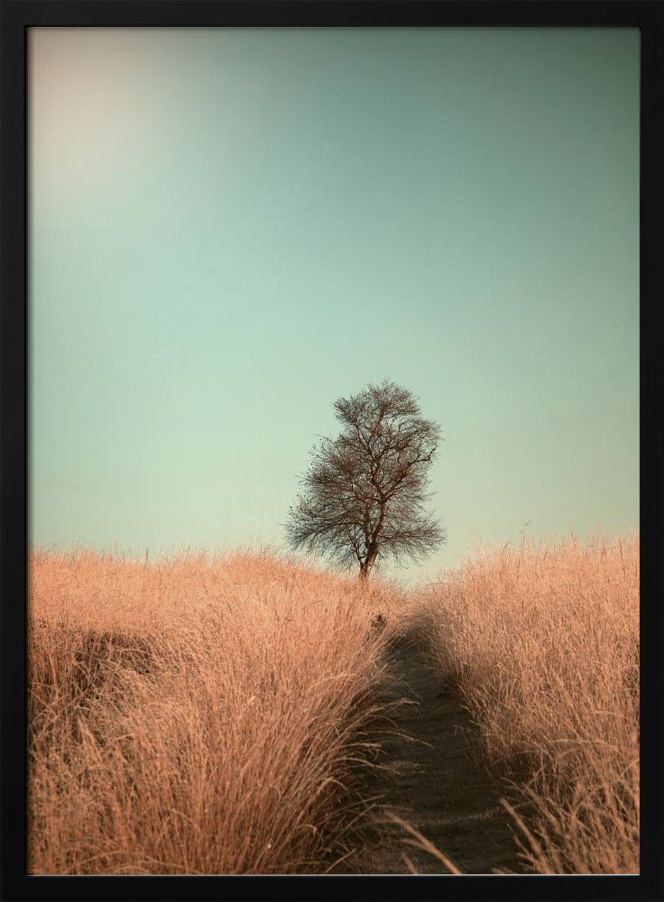 Gras und Weg | Poster