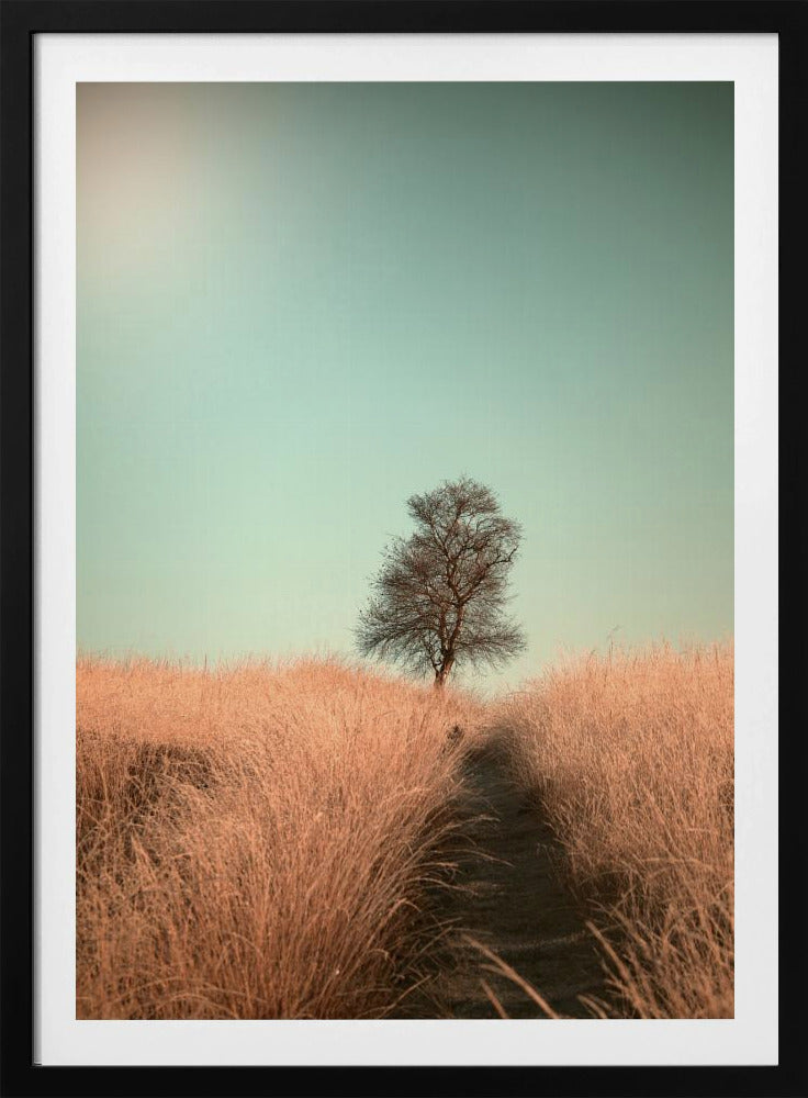 Gras und Weg | Poster