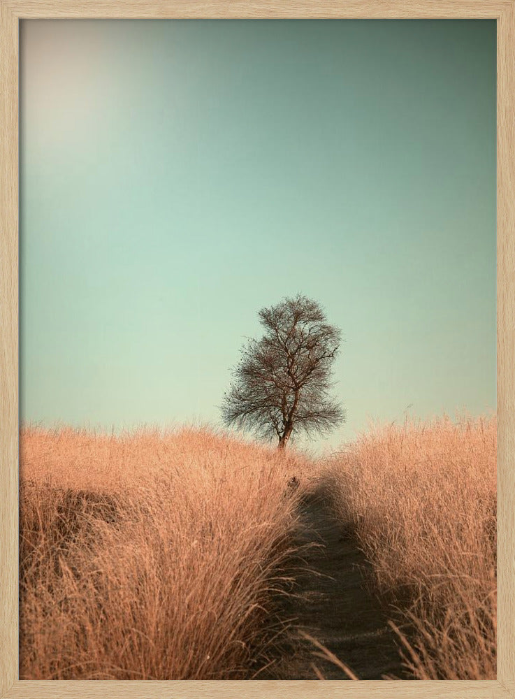 Gras und Weg | Poster