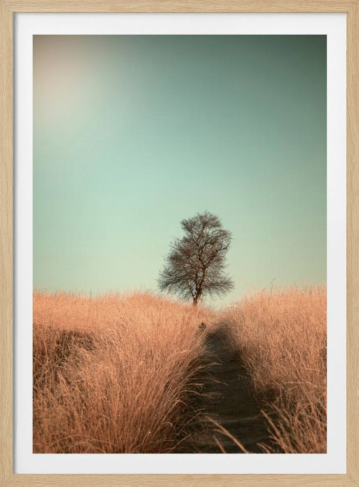 Gras und Weg | Poster