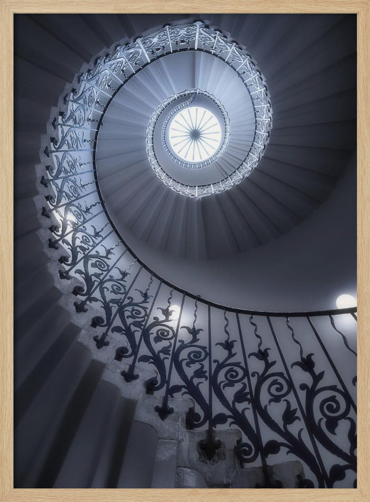 Tulpentreppe | Poster