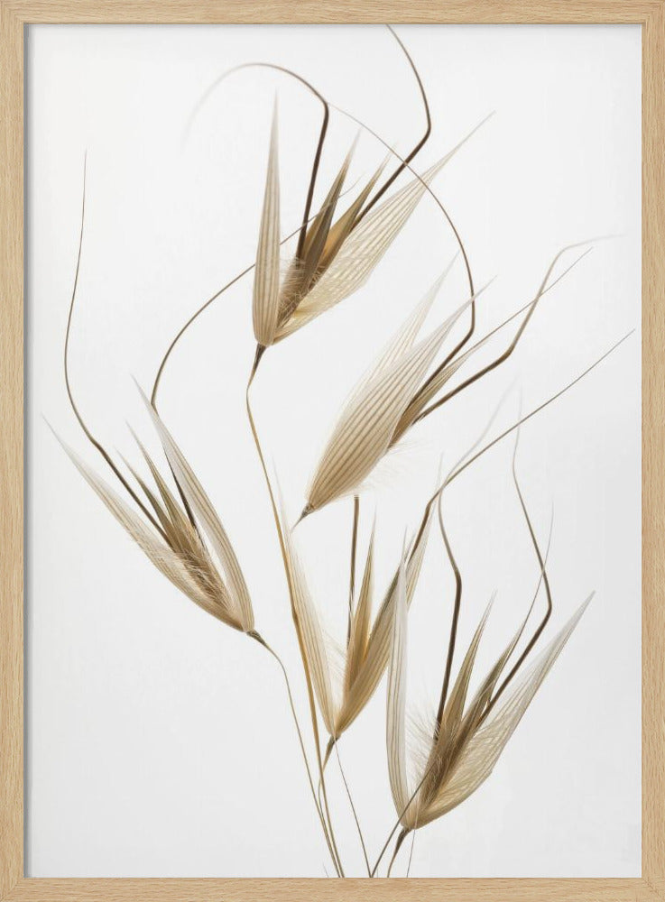 Zartheit der Natur | Poster