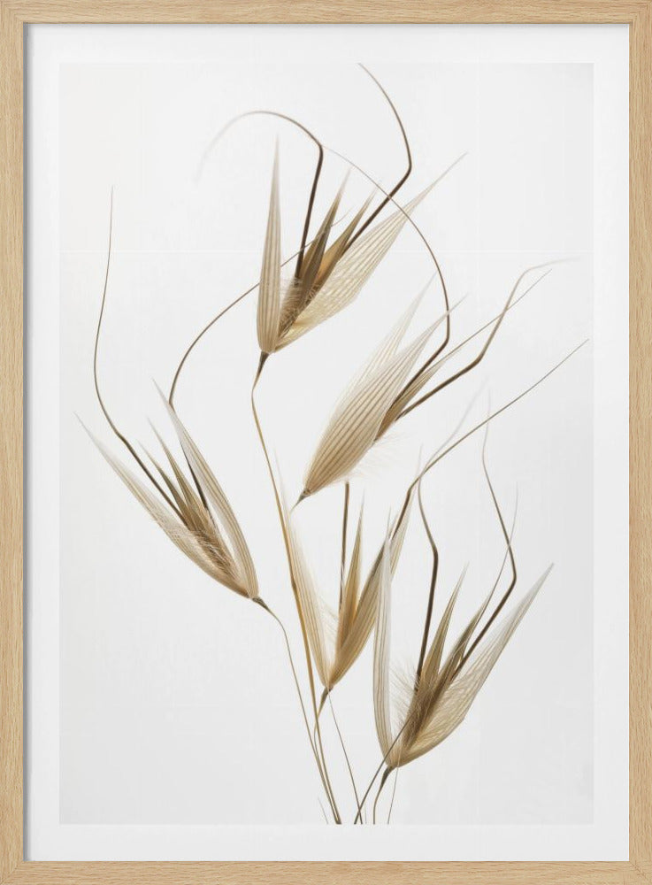 Zartheit der Natur | Poster