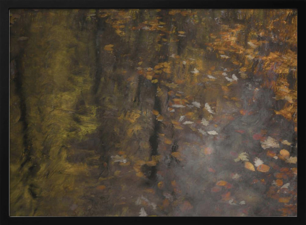 Herbstimpression | Poster