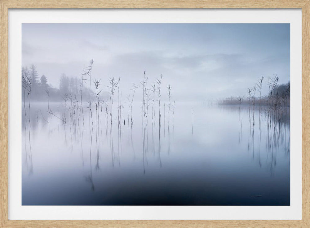 Ohne Titel | Poster