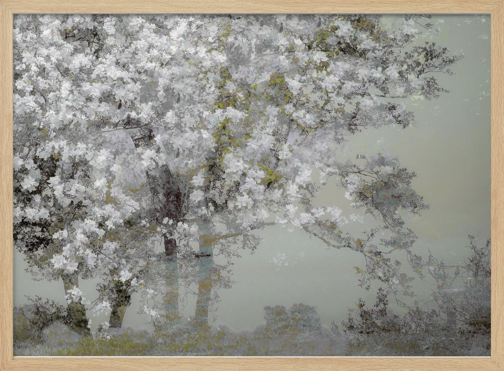 Frühling | Poster