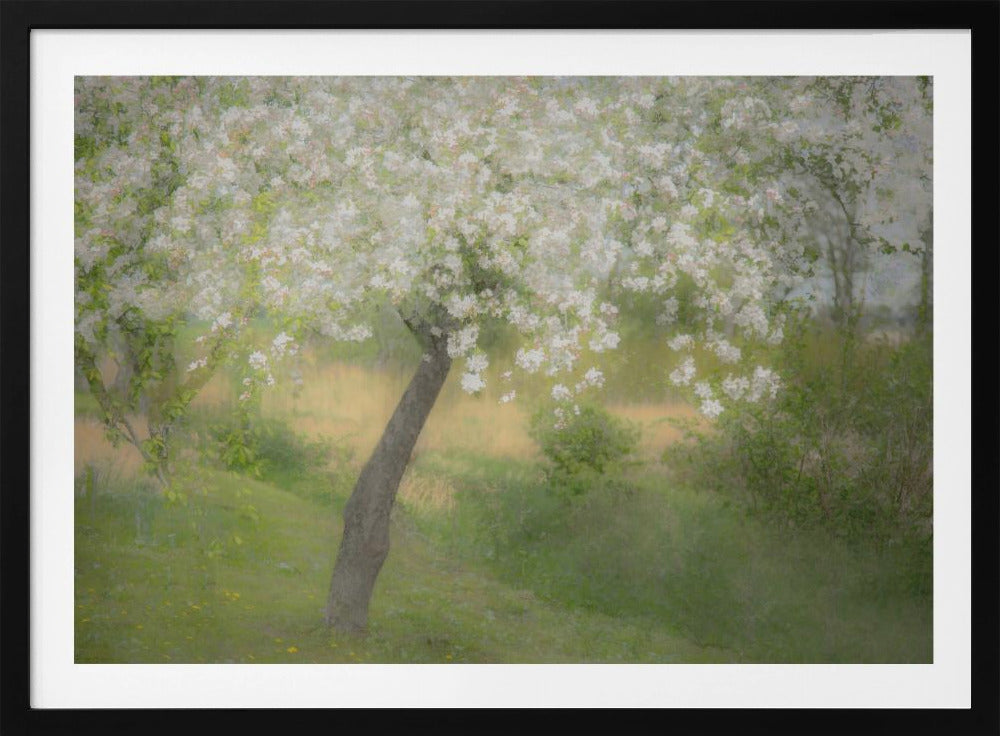 Im Garten | Poster