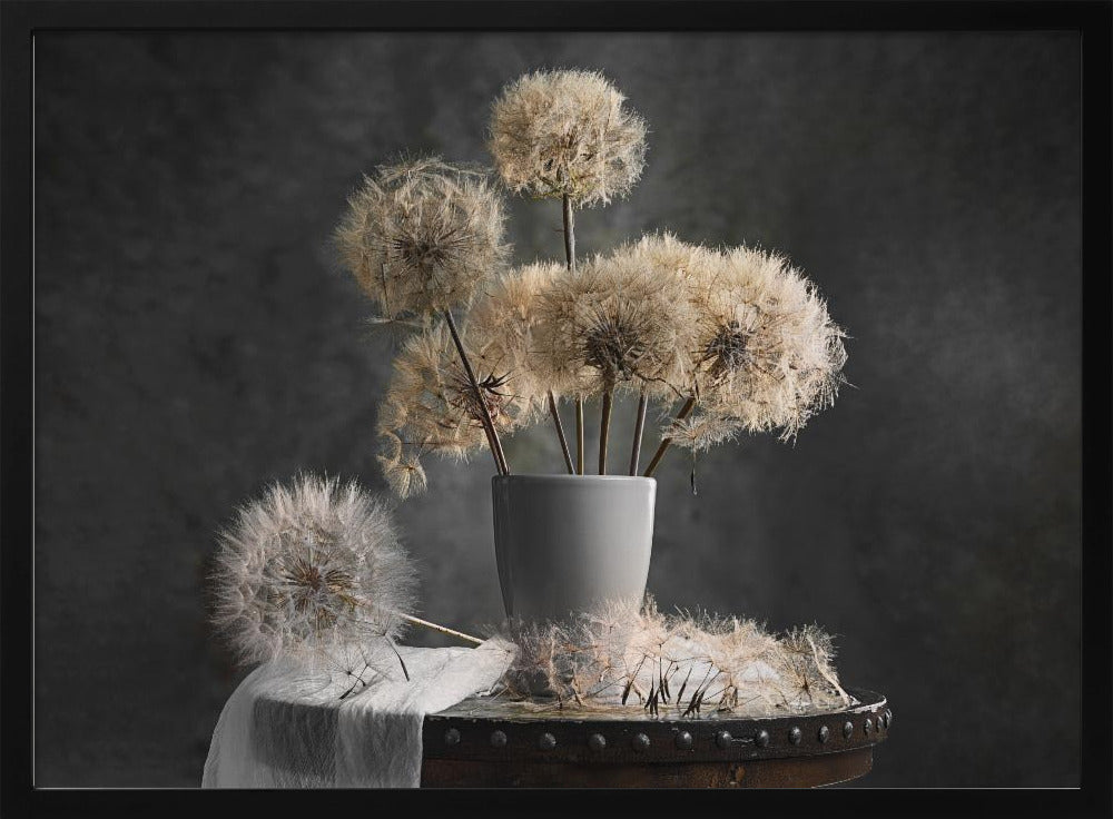 Dandelion Seed Pod | Poster