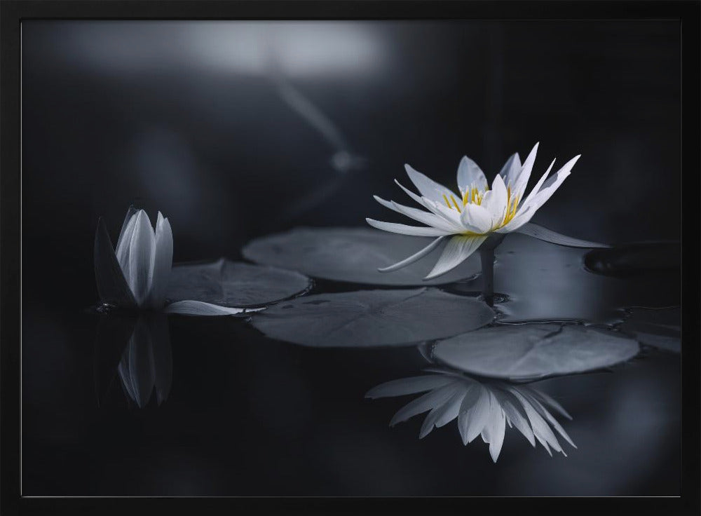 Reflexion | Poster