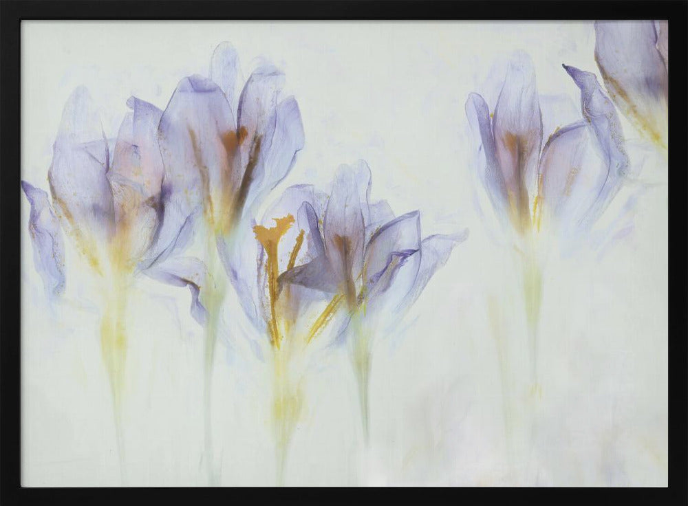 Frühling | Poster