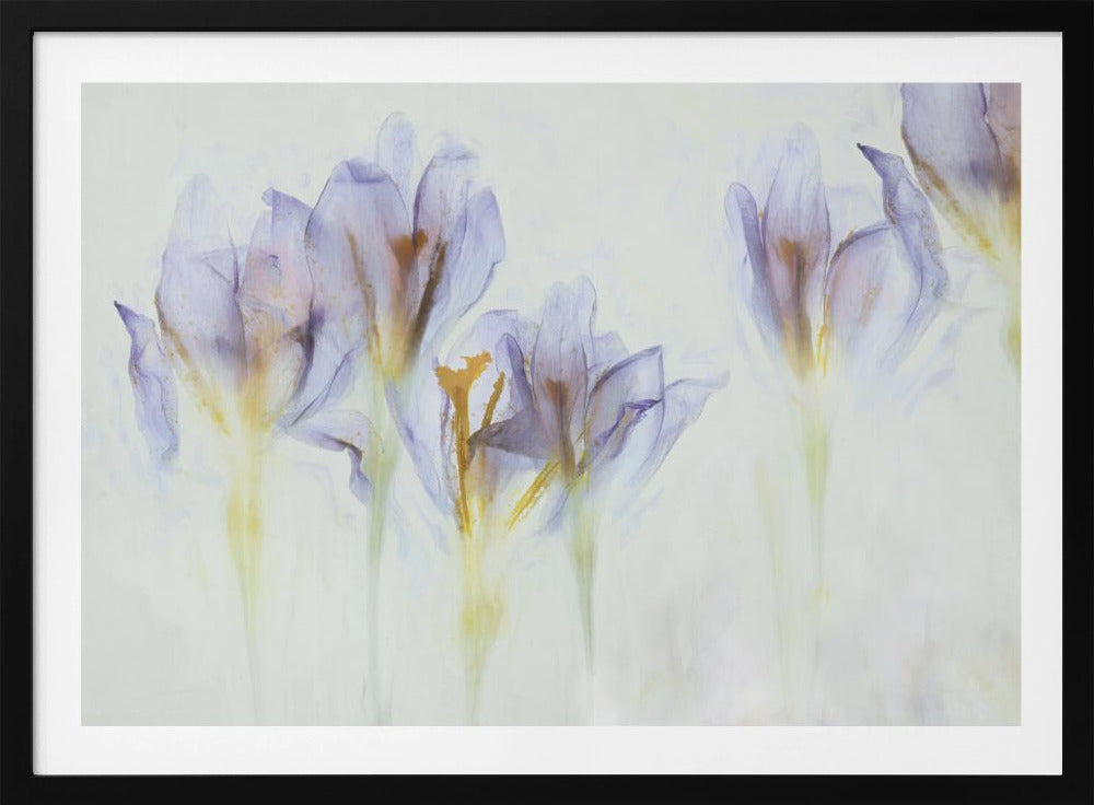 Frühling | Poster