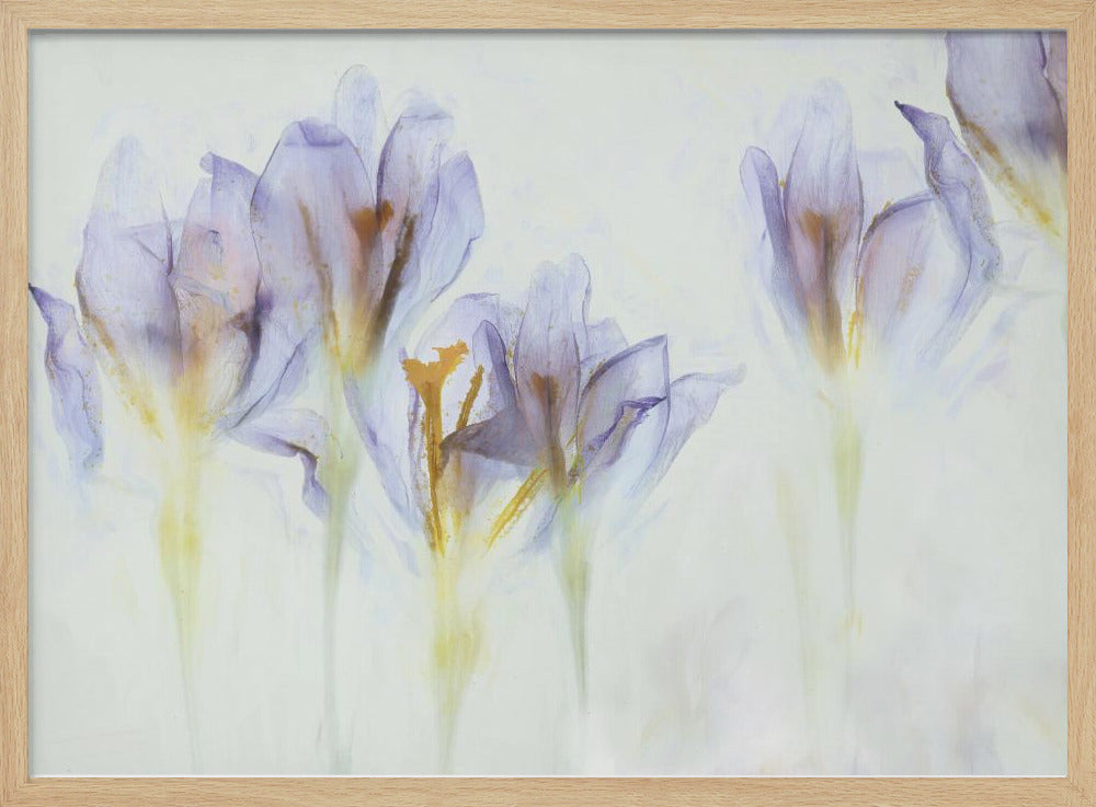 Frühling | Poster
