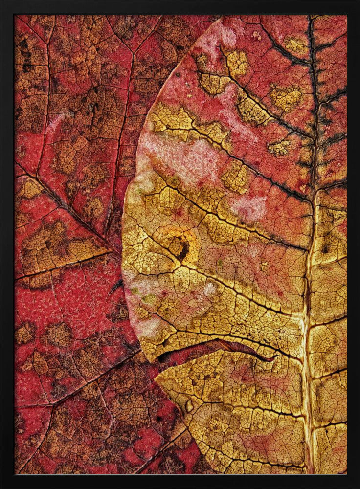 Sterbendes Blatt | Poster