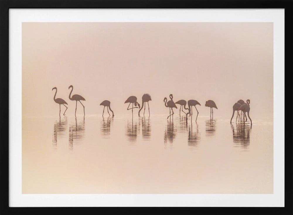 Flamingos im Nebel | Poster