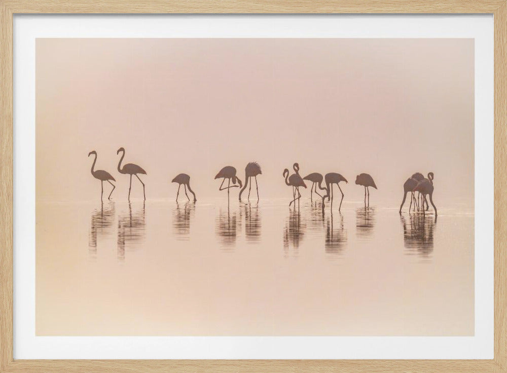 Flamingos im Nebel | Poster