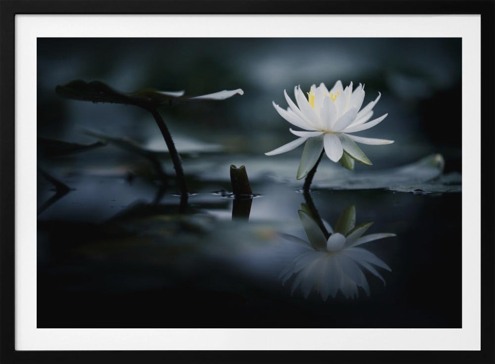 Reflexion | Poster