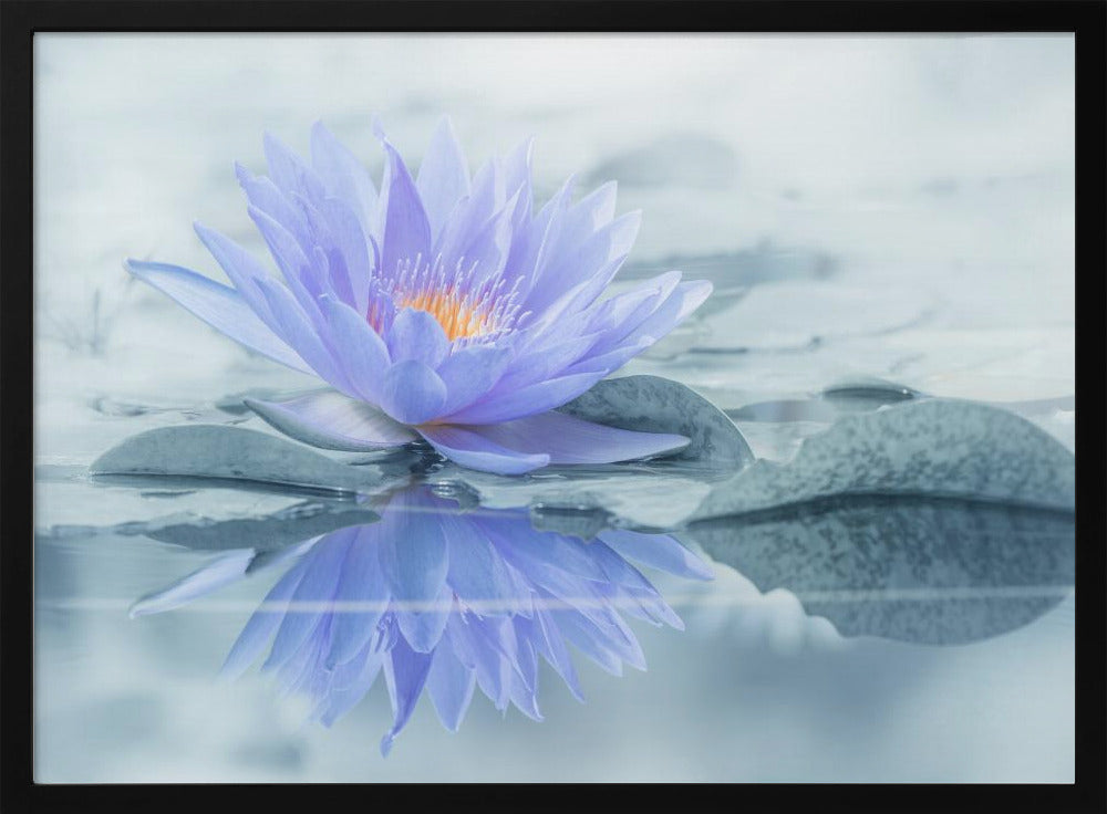Reflexion | Poster