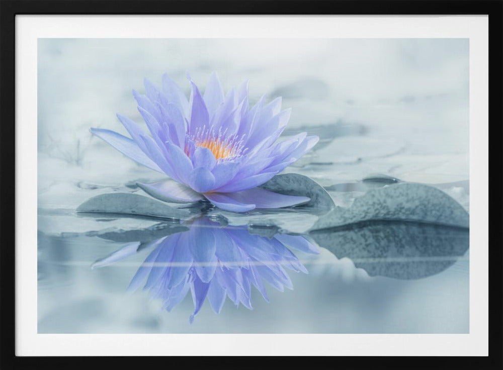 Reflexion | Poster