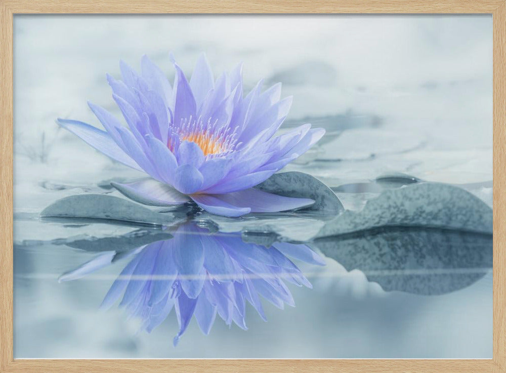 Reflexion | Poster