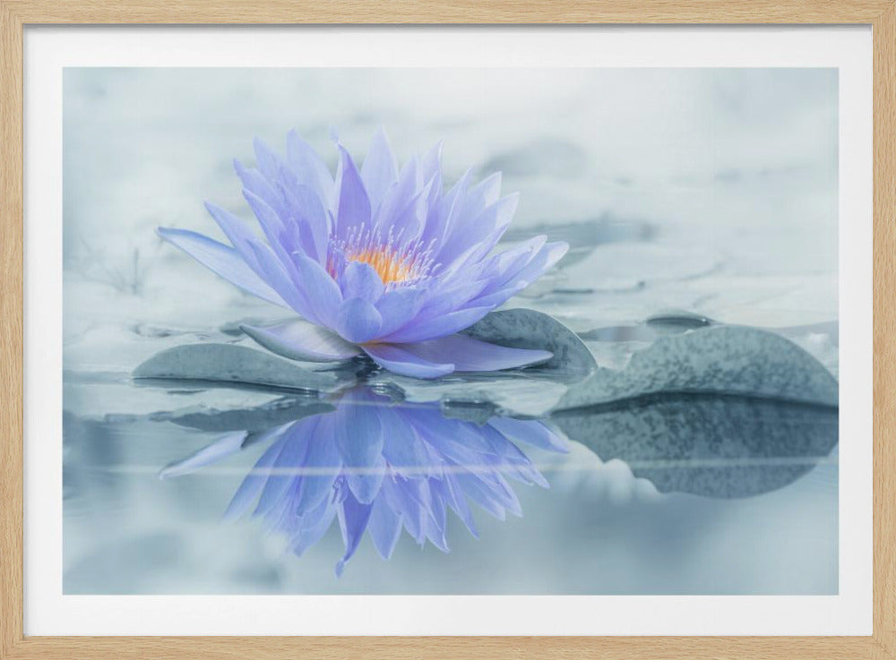 Reflexion | Poster