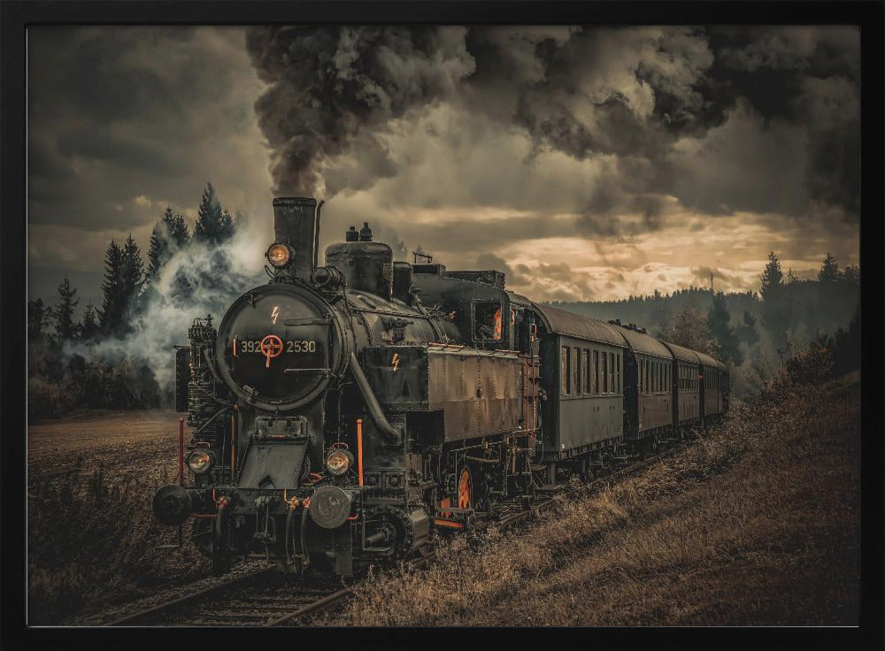 Goldgräberzug | Poster
