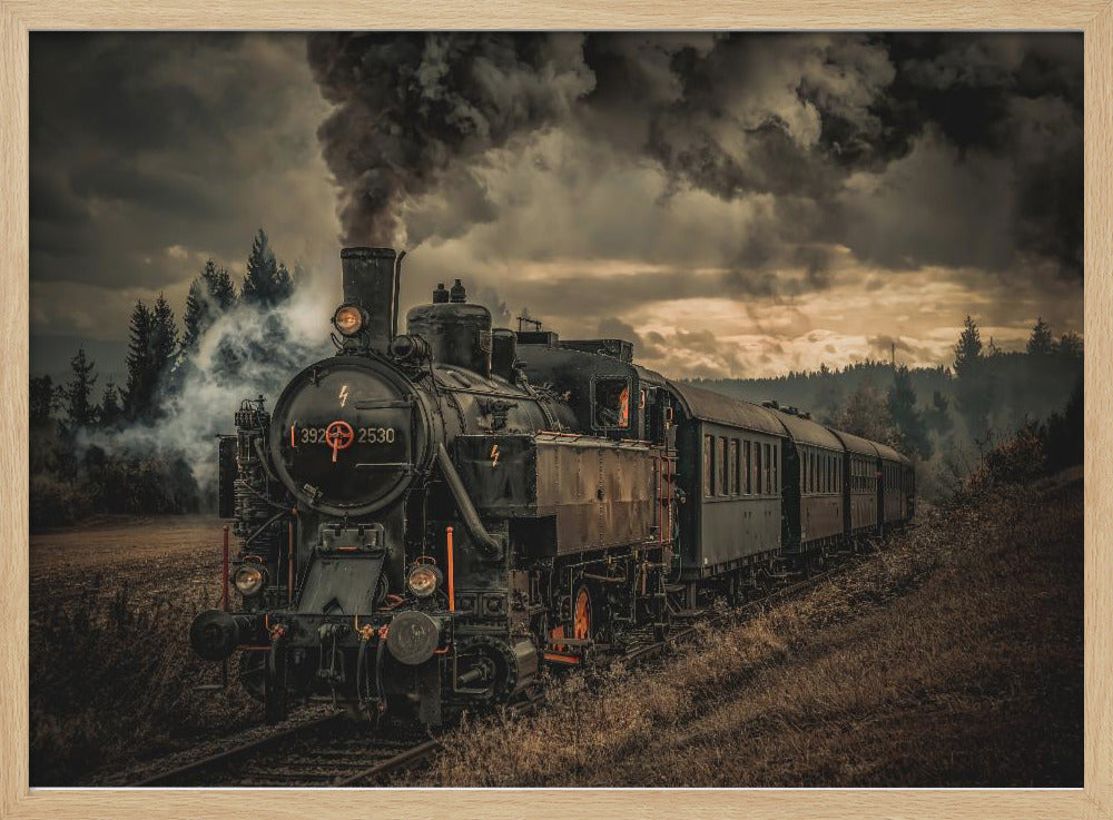 Goldgräberzug | Poster