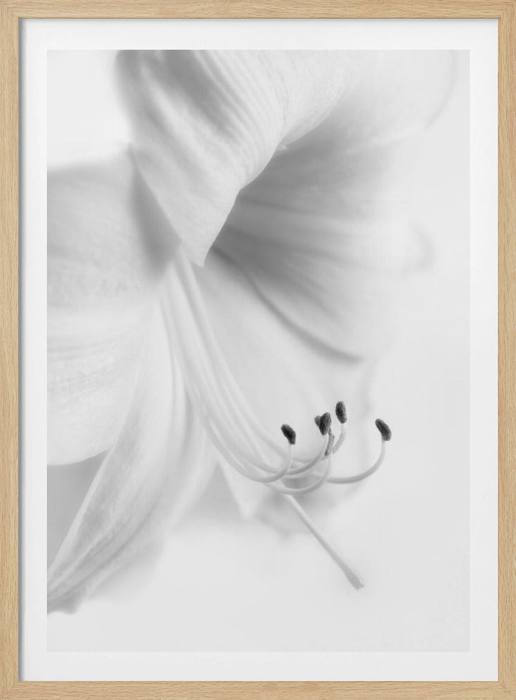 Weiß auf Weiß | Poster