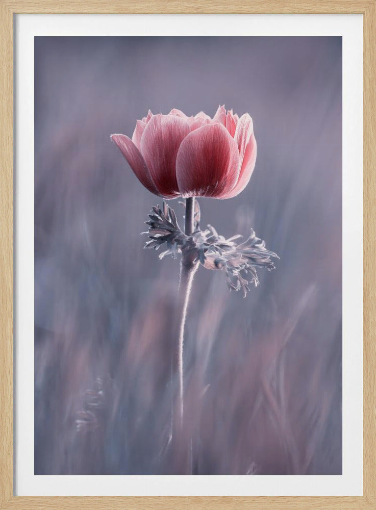 Pink! Na und? | Poster