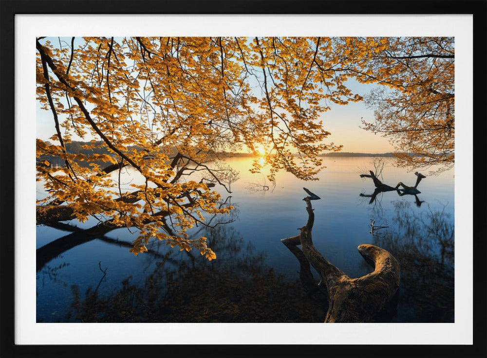 Herbstmorgen | Poster