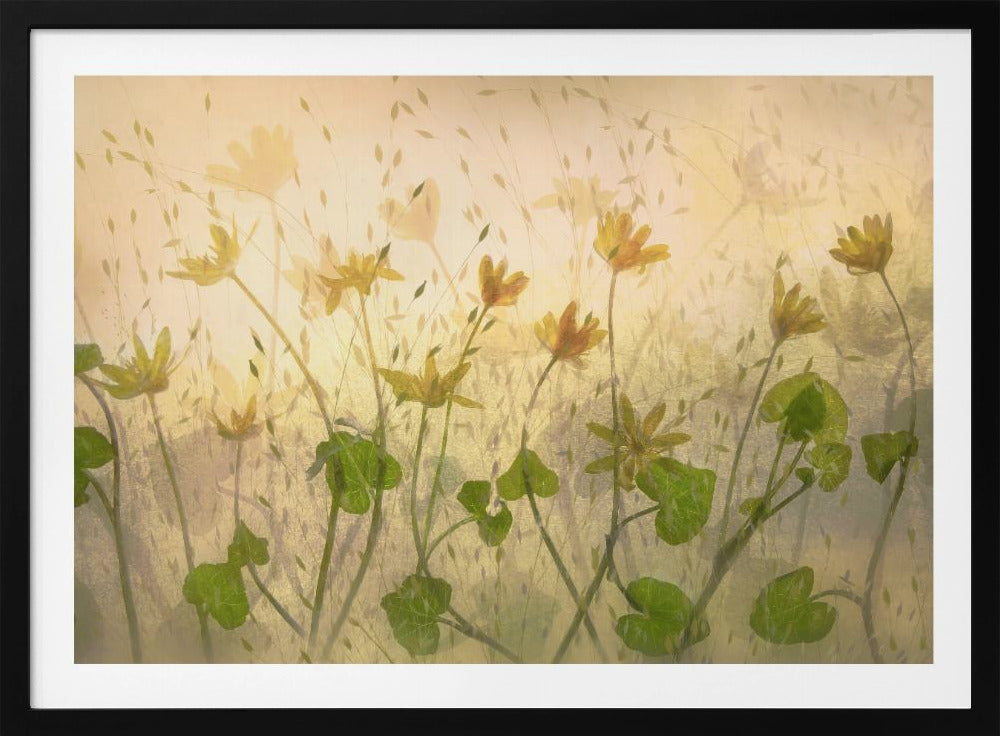 Sonnige Blumen | Poster
