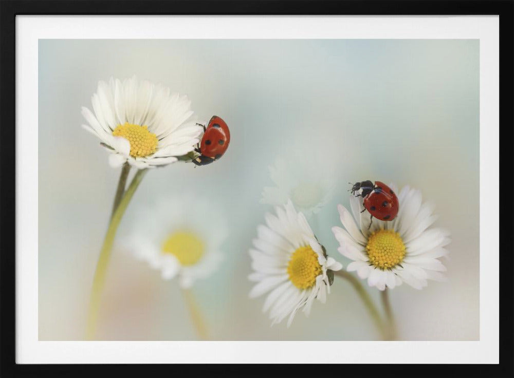 Frühling... | Poster