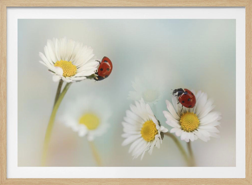Frühling... | Poster