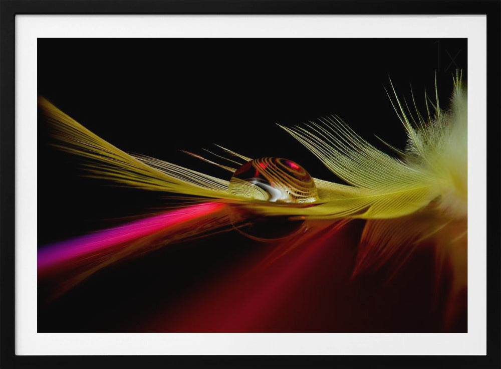 Farben im Tropfen | Poster