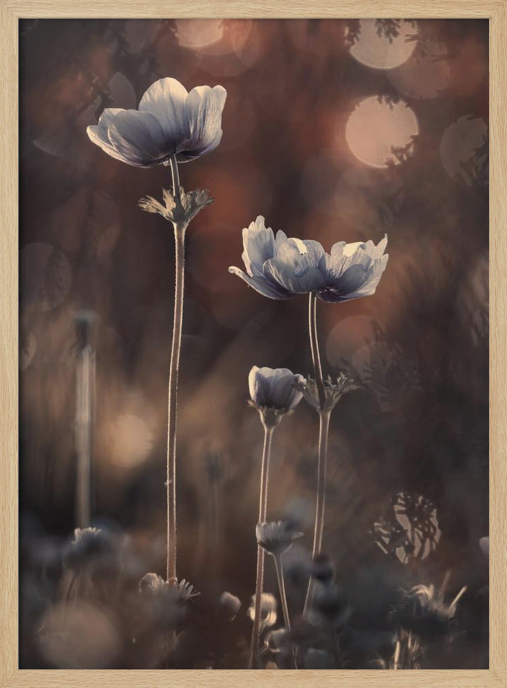 Ensemble | Plakat