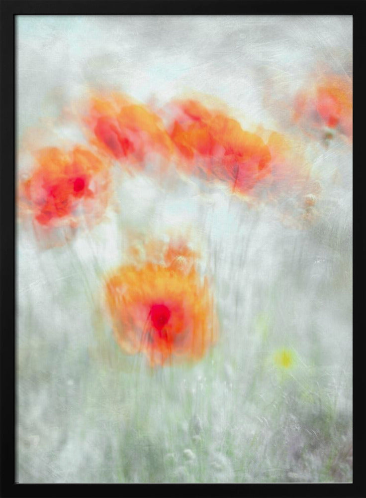 Rote Kornblumen | Poster