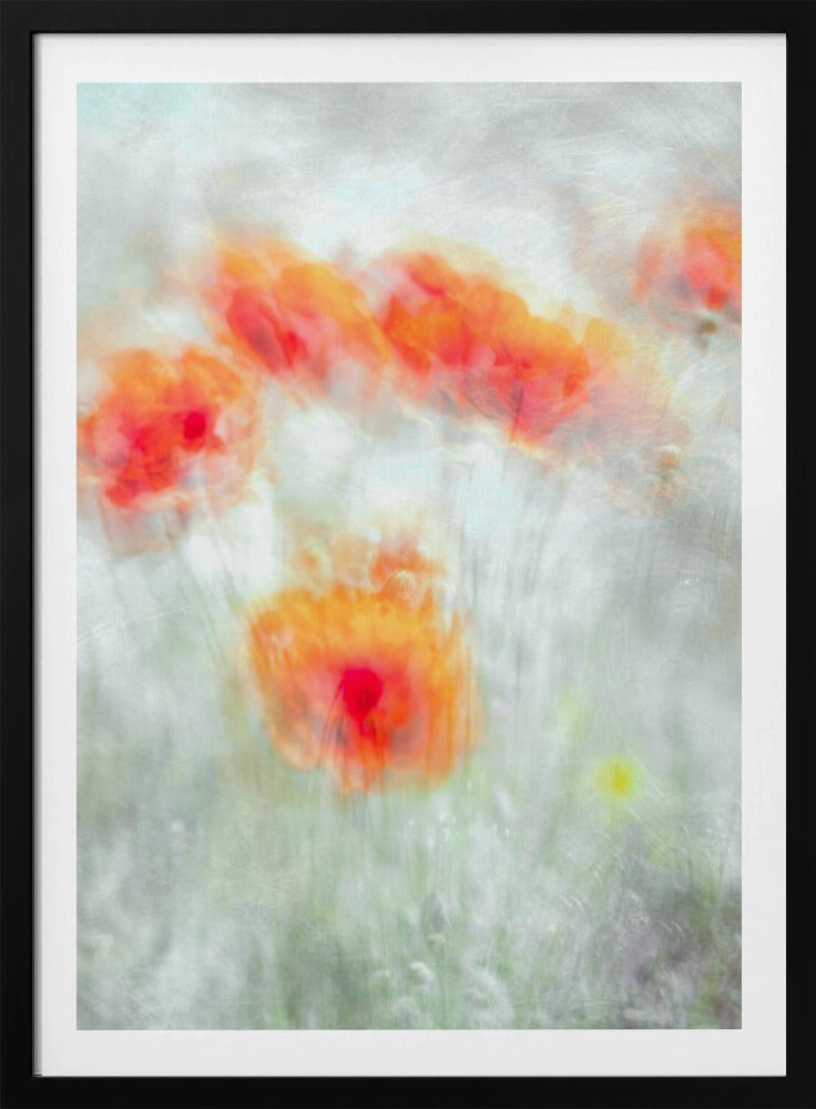 Rote Kornblumen | Poster