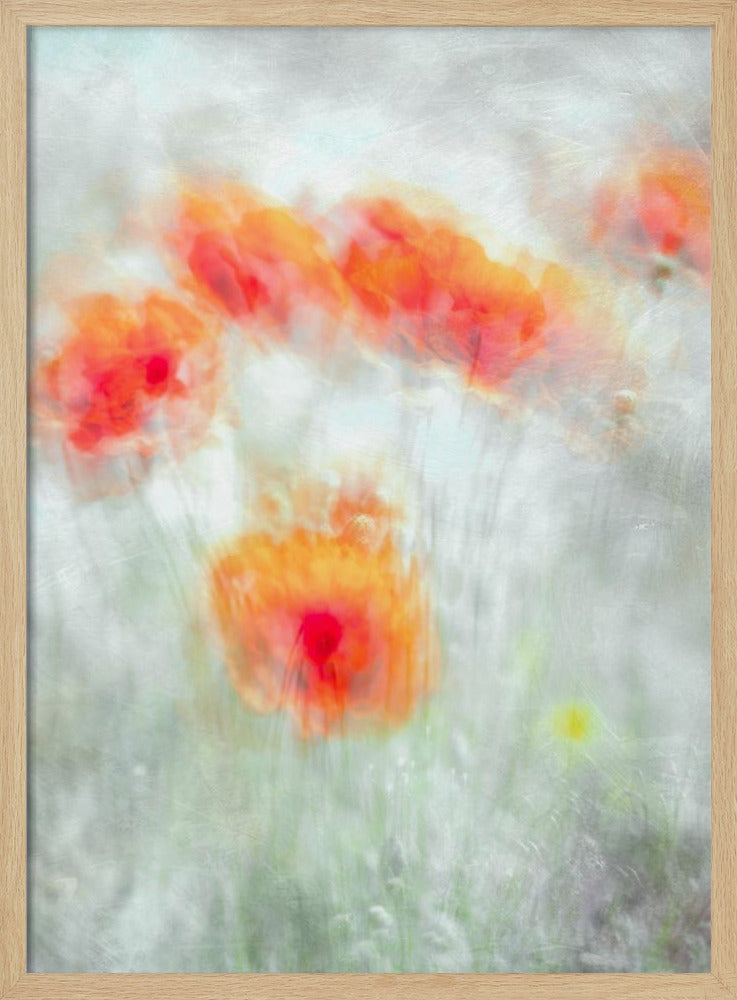 Rote Kornblumen | Poster