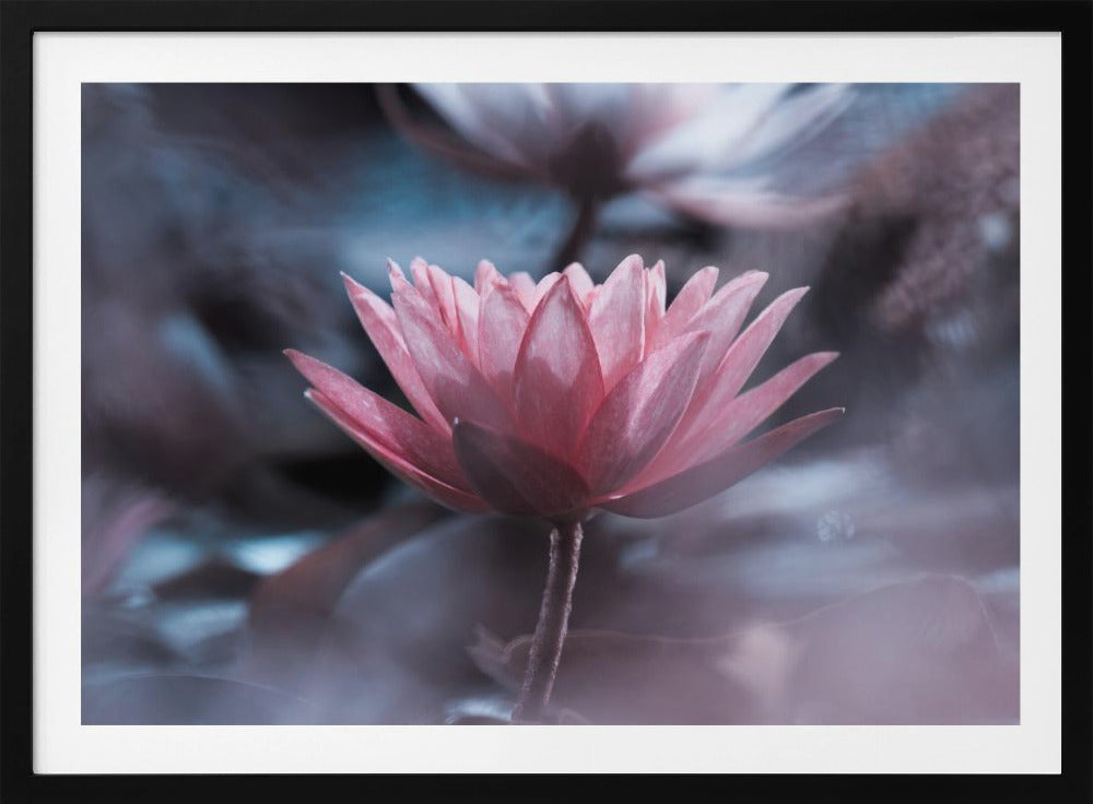 Stille | Poster