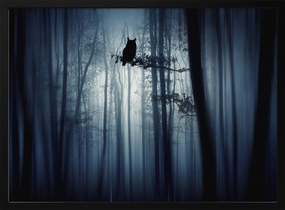 Im Wald | Poster