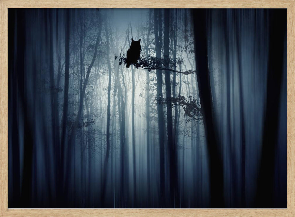 Im Wald | Poster