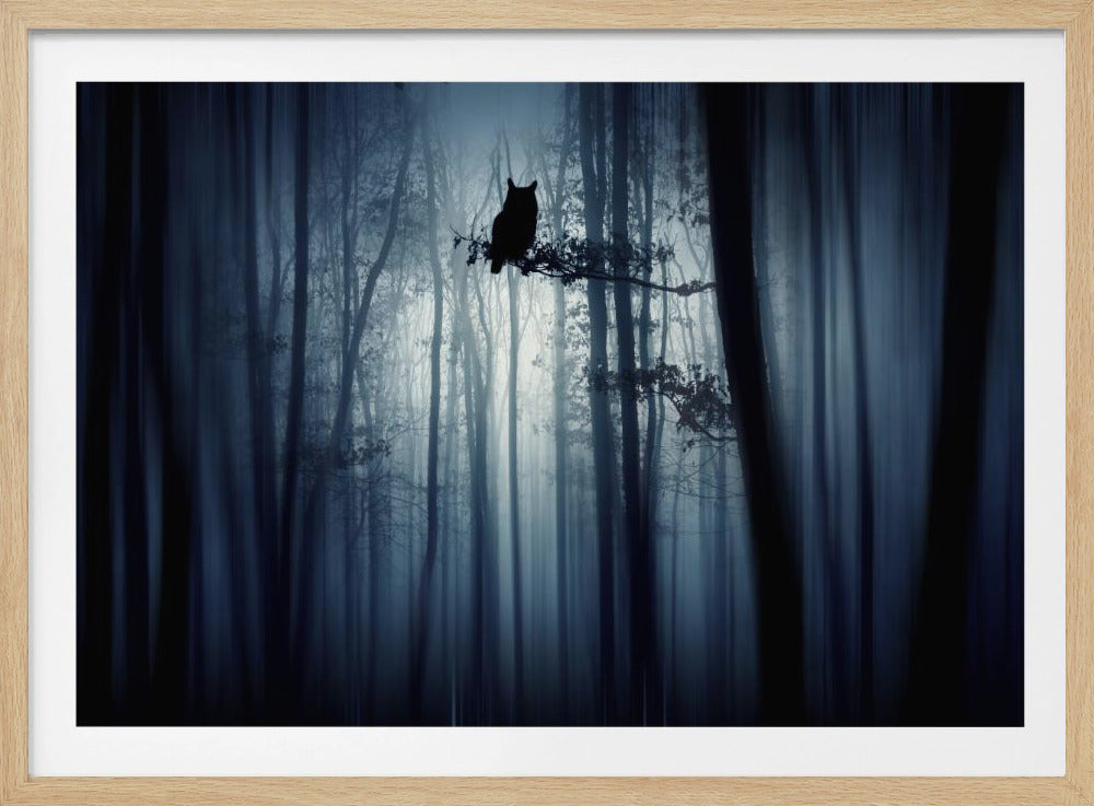 Im Wald | Poster