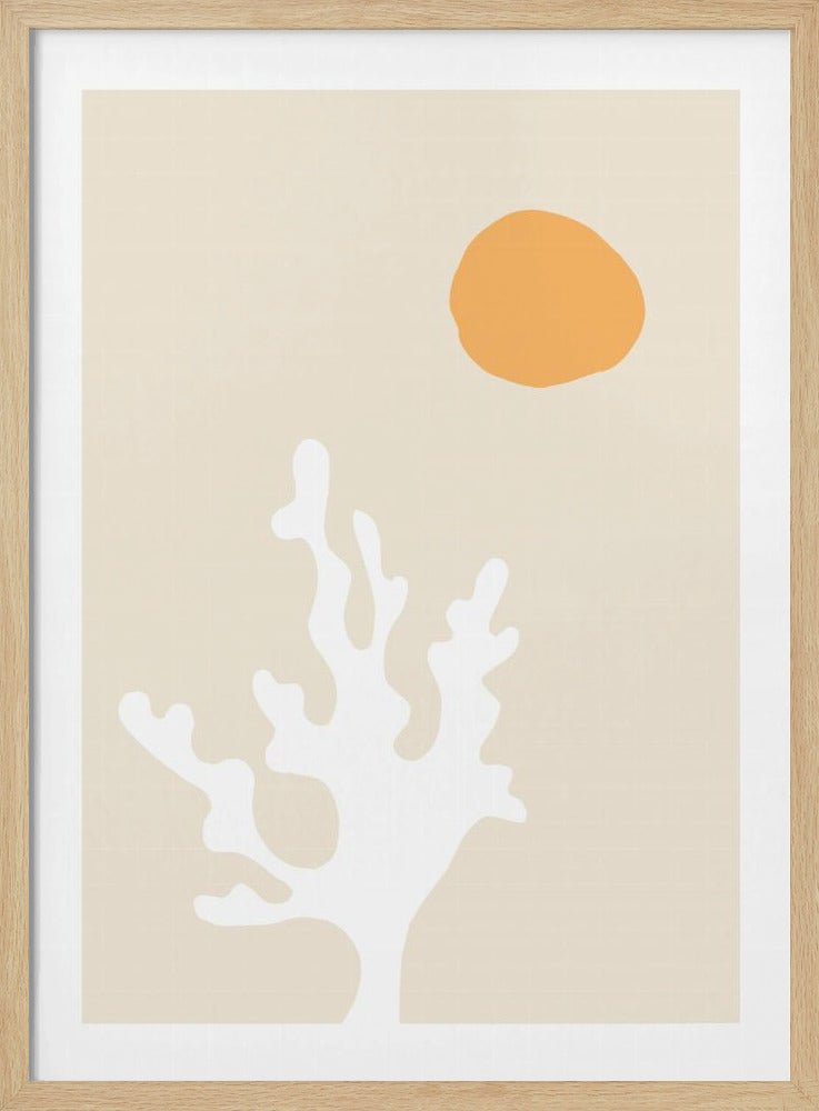 Seetang in der Sonne | Poster