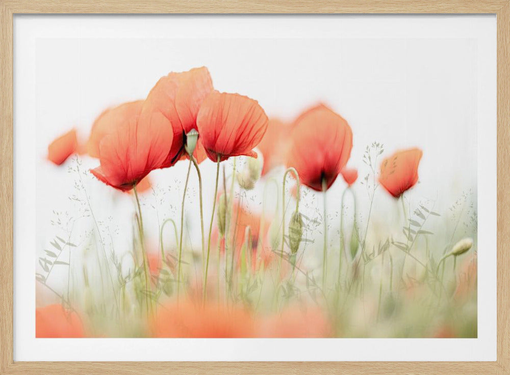 Sommertag | Poster